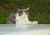 image106