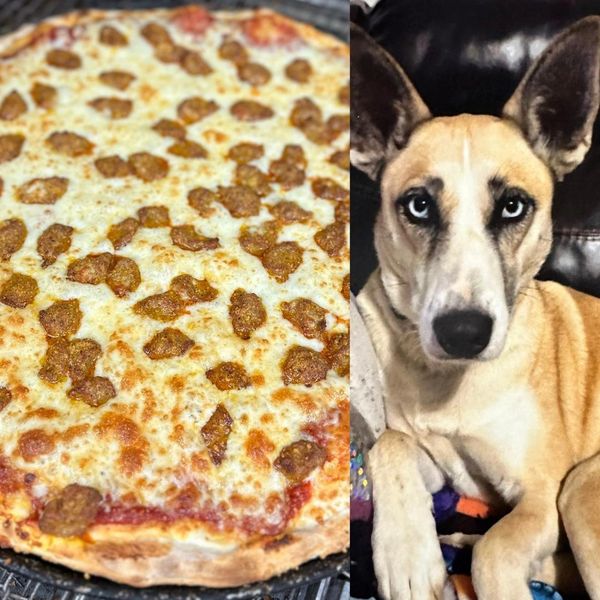 Big Dog Pizza, LLC.