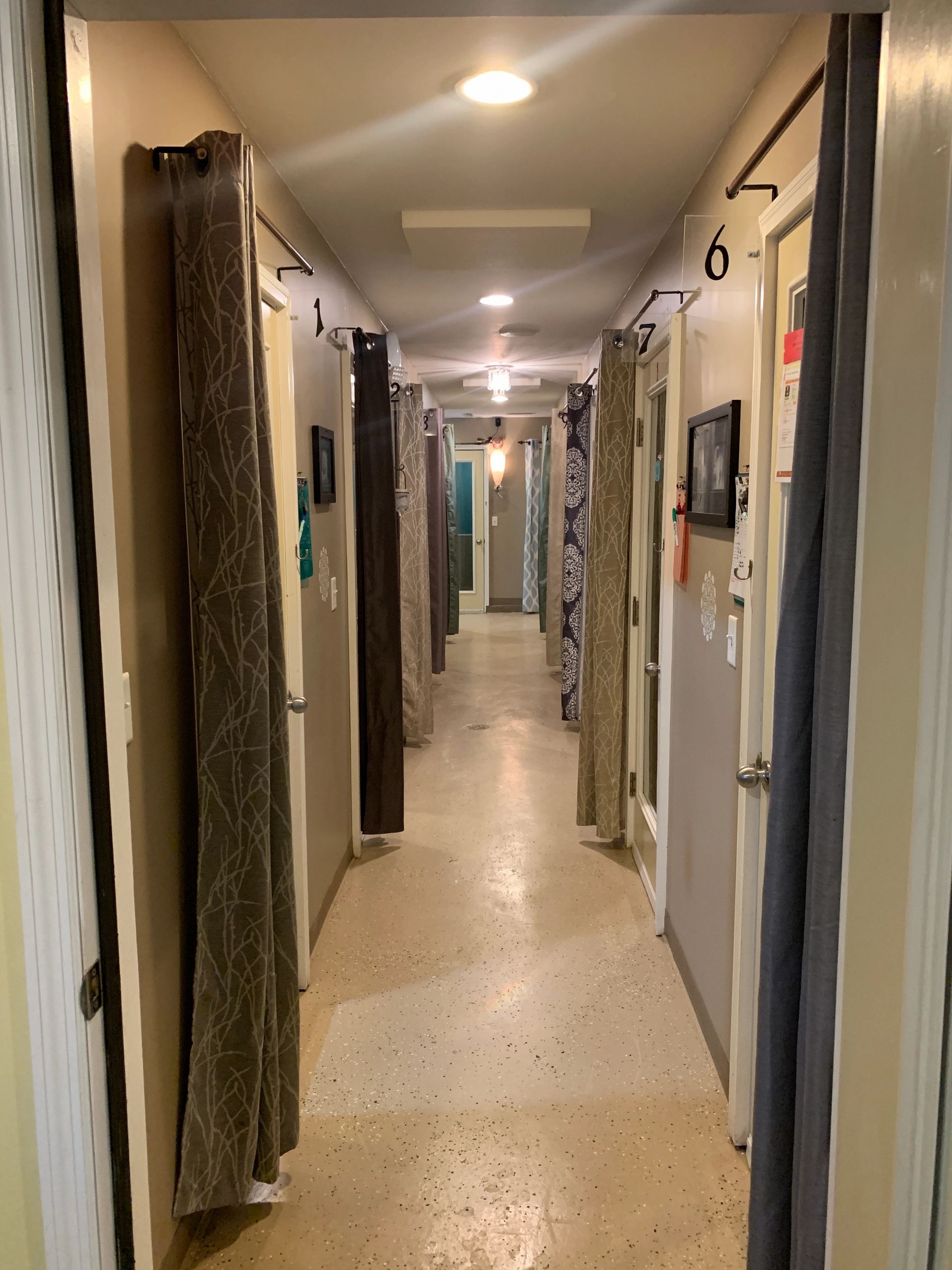 The Woods A Luxury Canine Resort and Spa