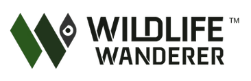Wildlife Safari