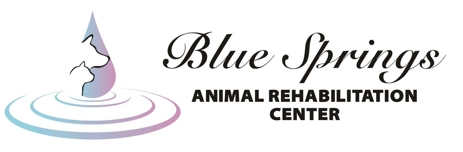 Blue Springs Animal Rehabilitation Center - Acton, ON