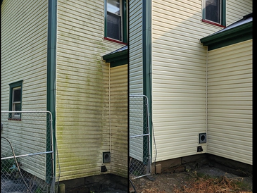 House Wash  vinyl siding cleaning