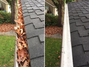 Gutter Cleaning