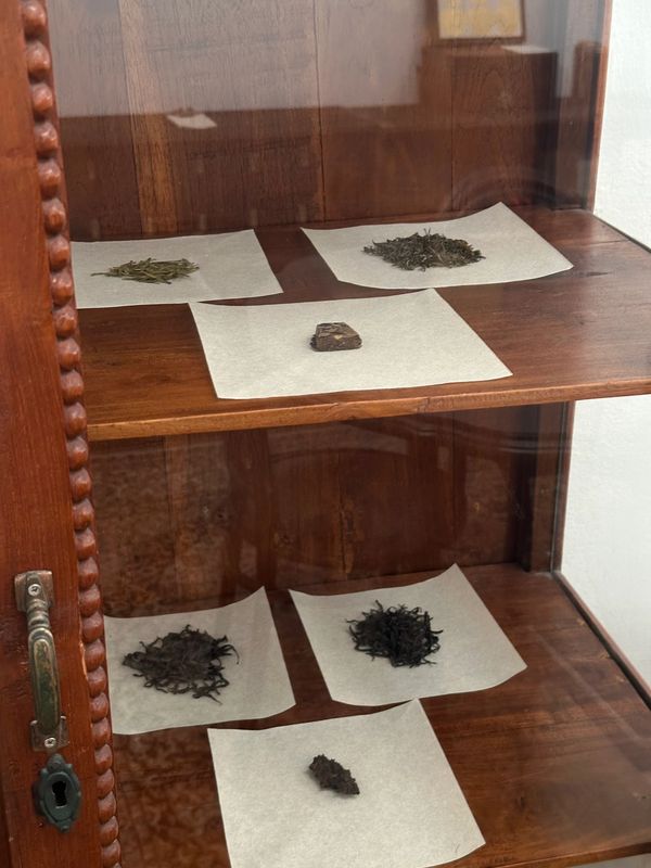Various dried leaves displayed on paper inside a wooden cabinet.
