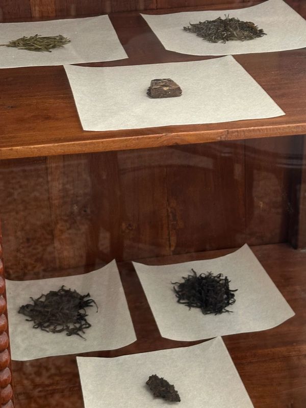 Various types of tea leaves displayed on white paper.