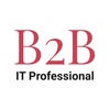 B2B IT Professional