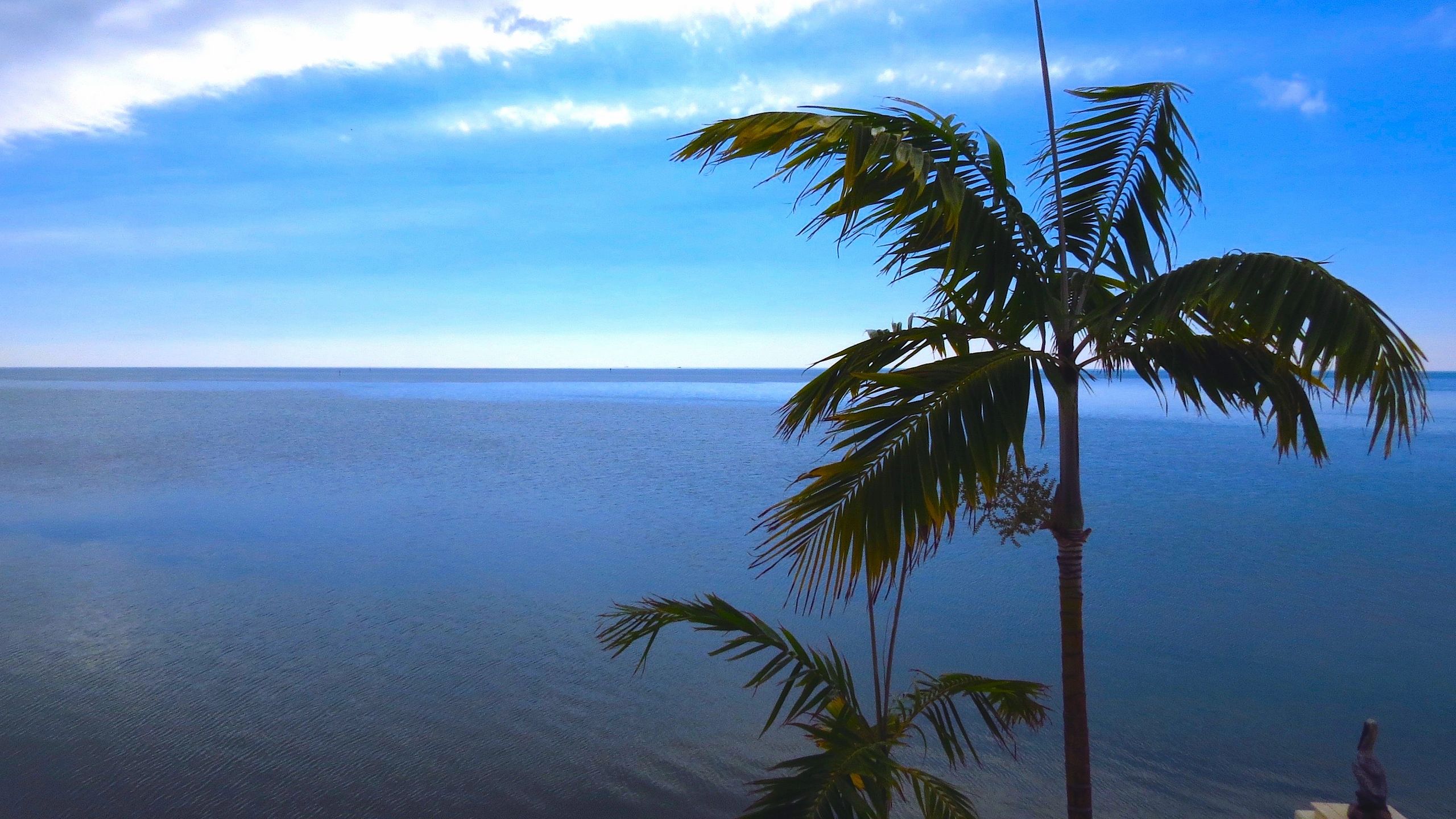 Vacation On The Ocean