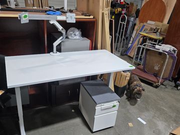 White 30x60 Performance Brand dual-motor sit-to-stand desk with white mobile file pedestal drawer.