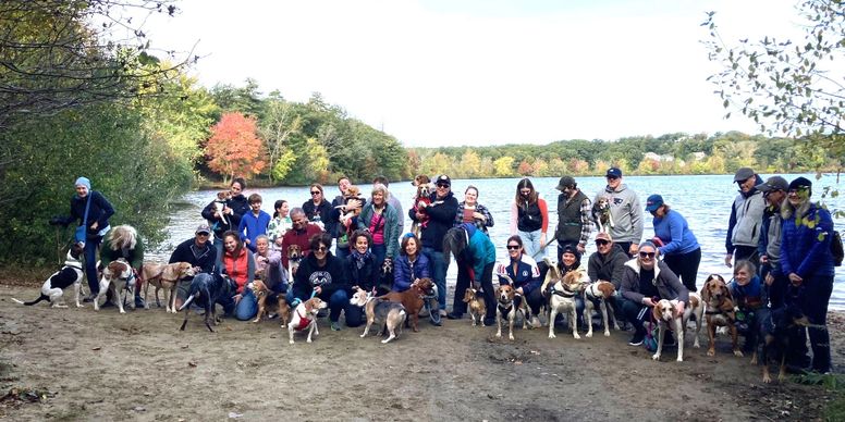 Hound Trail Walk
