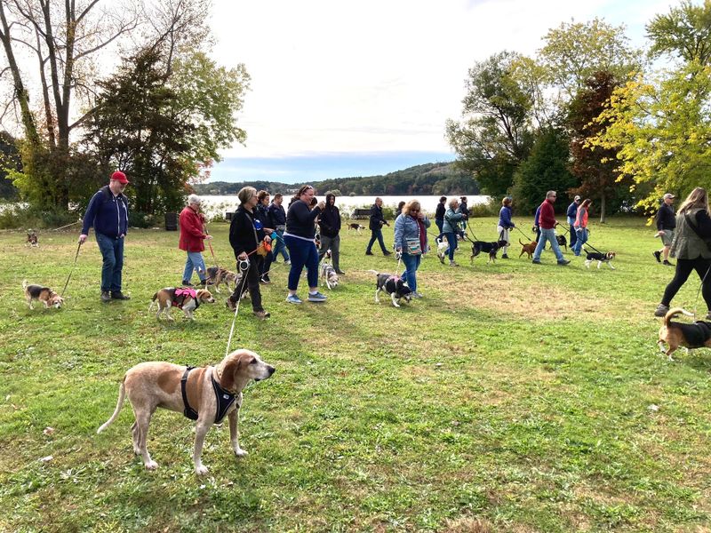 Hound Trail Walk