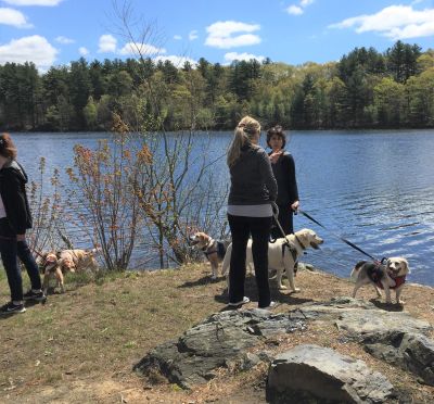 Three women with four dogs by a lake on a sunny day.
