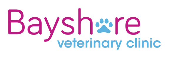 Beyshore veterinary clinic