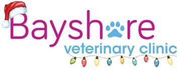 Beyshore veterinary clinic