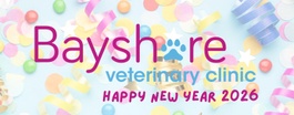 Beyshore veterinary clinic