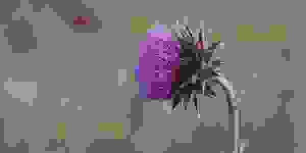 Herbal Medicine - to restore health and functional wellness