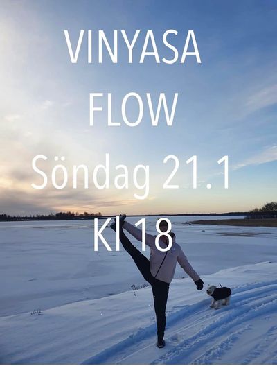 Person practicing yoga on snowy landscape with dog, promoting Vinyasa Flow session.