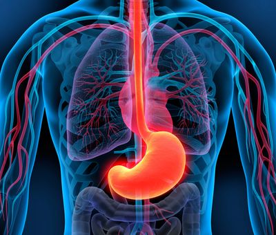 O exame de endoscopia digestiva alta, realizado em Santos no Instituto Mendonça Costa. 
