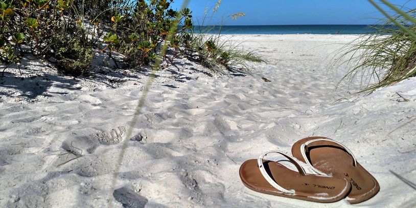 Abandoned flip flops on the path to the beach