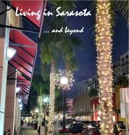Night view of Sarasota street with palm trees and lights.