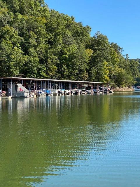 Lone Mountain Marina & Campground photo