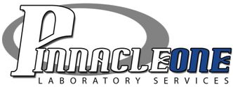 Pinnacle One