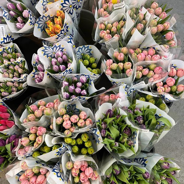 Colorful tulip bouquets wrapped in branded paper.