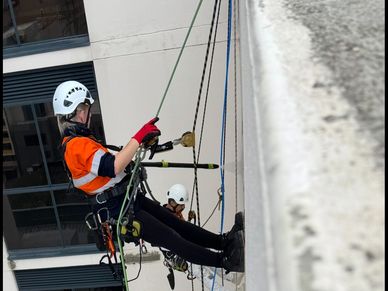 Facade Cleaning
