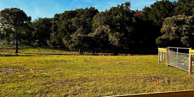 Sunlit green pasture with trees and a fenced area under a clear sky.