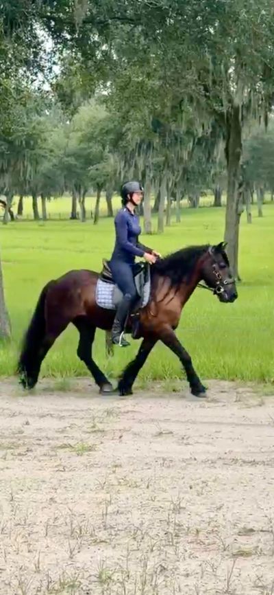 Person riding a dark horse on a path in a lush green area.