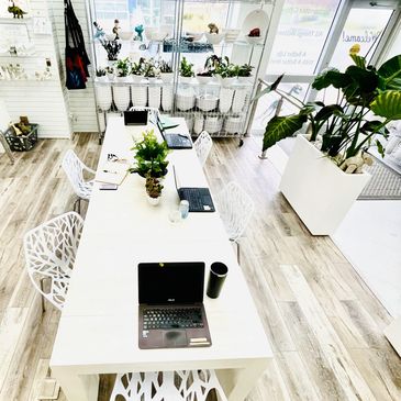 Bright, modern workspace with plants and laptops on a white table.