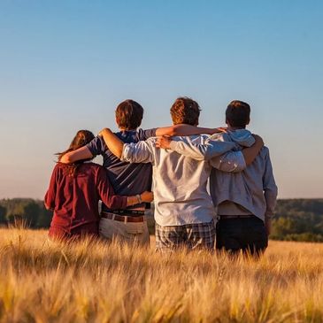 Four friends embrace in a golden field at sunset, facing away.