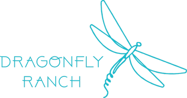 Dragonfly Ranch Education