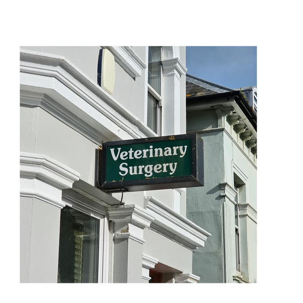 Original sign Veterinary Surgery from the past. We have decided to keep it on the building. 