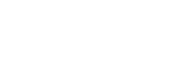 Capitaneus Magnus Solutions