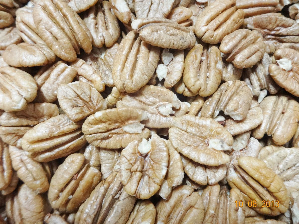 FRESH PECANS