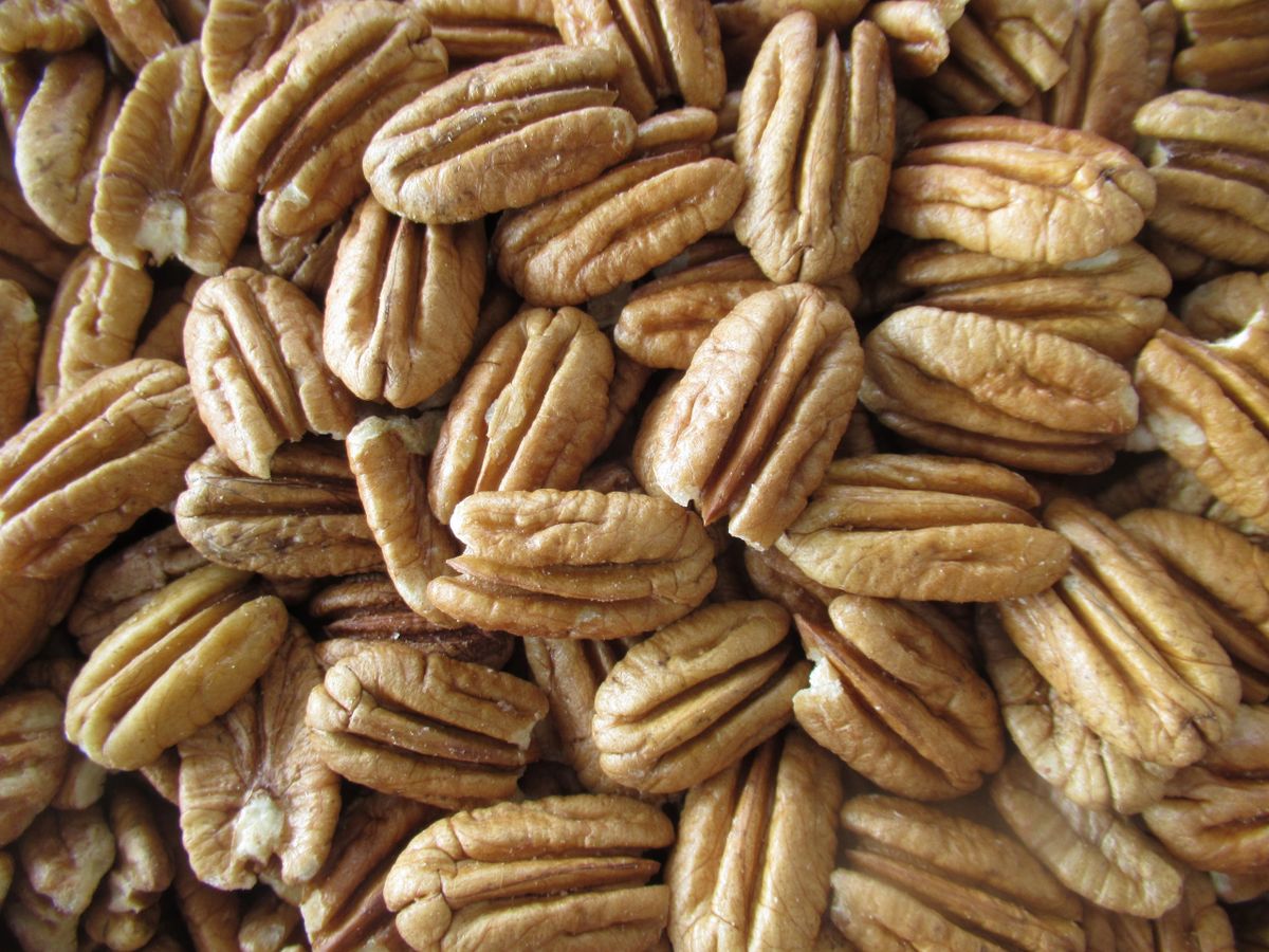 ISPB1. 1 Lb. Bag PECAN HALVES (fresh, shelled)