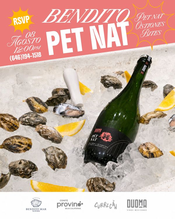 Bendito Pet Nat event with oysters and bites on August 8, 12 PM.