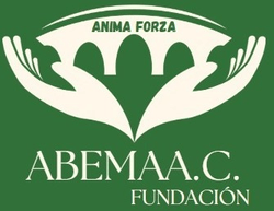 abema a.c.
Anima Forza