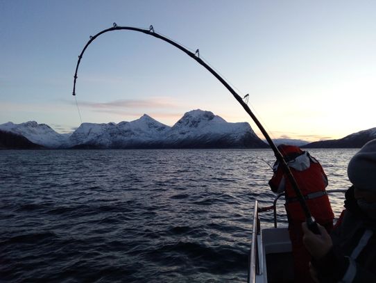 Fishing Tromso