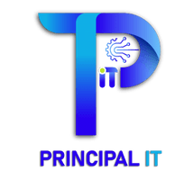 Principal IT Consultants