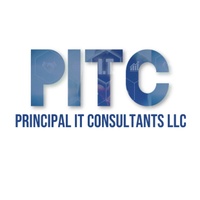 Principal IT Consultants