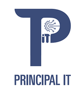 Principal IT Consultants
