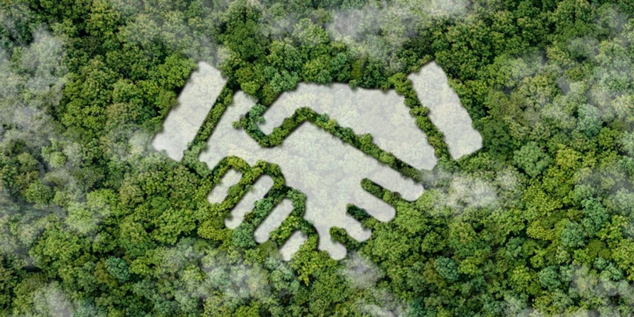 Handshake in forest symbolizing partnership and community impact