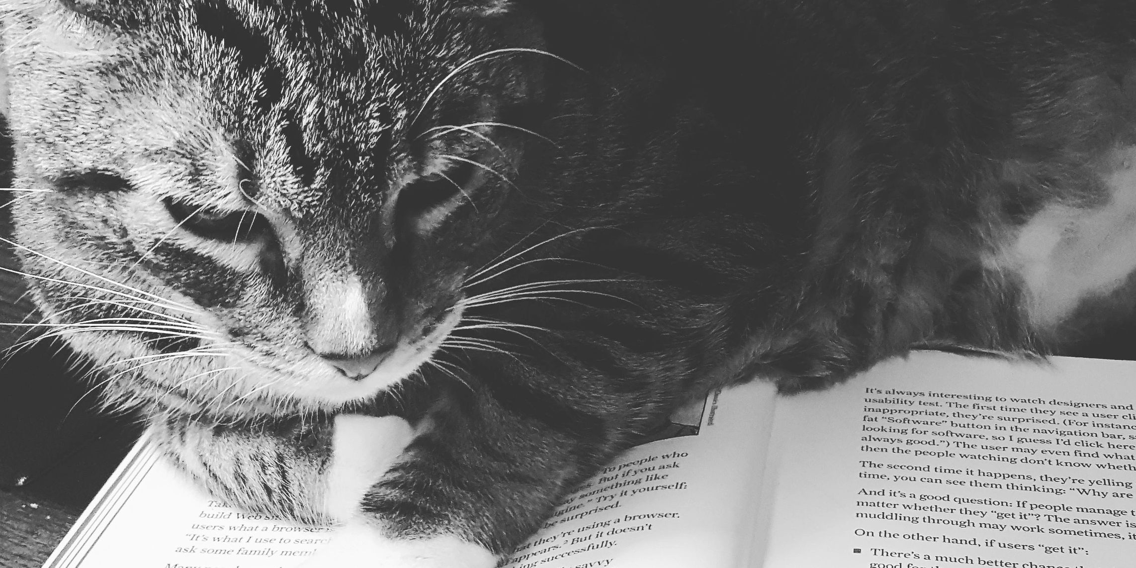 Cats and books
