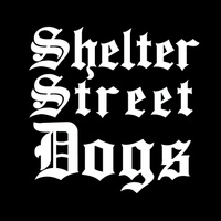 Shelter Street Dogs