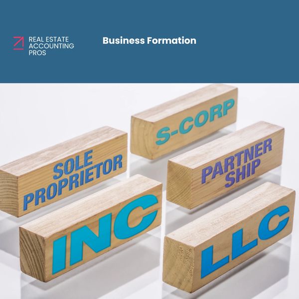 Business structure for real estate professionals