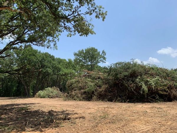 Land clearing project — Gildersleeve Dozer Contracting