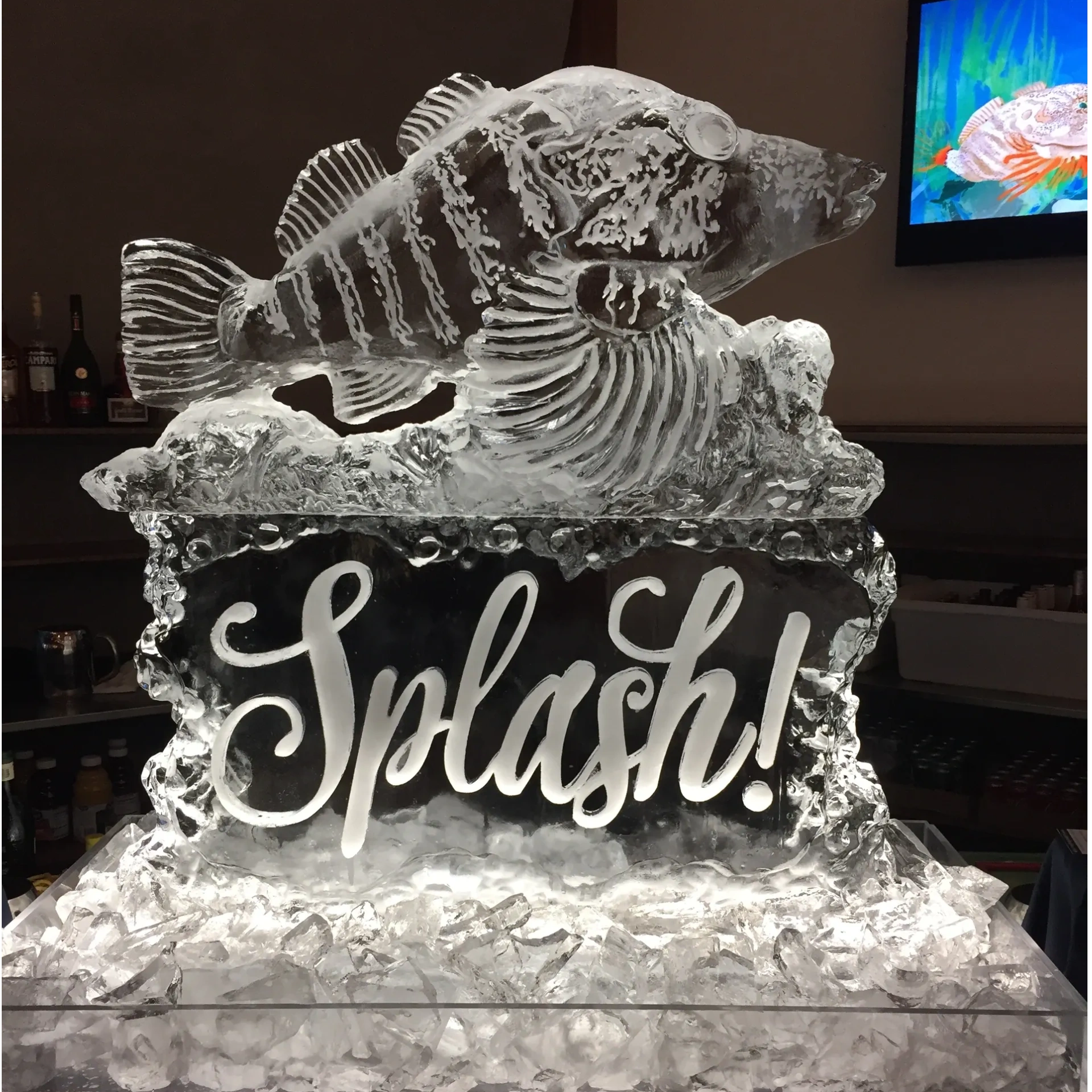 FISH Vintage Ice Sculpture Mold Ice Art FISH 8.5” Box