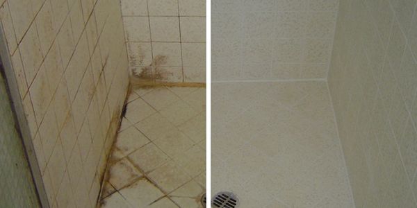 Tile and Grout Cleaning, Taylor Steamer, LLC