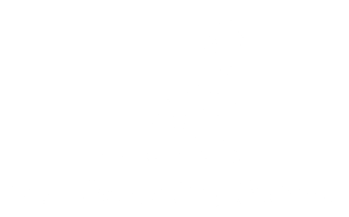 High Desert Dog Training